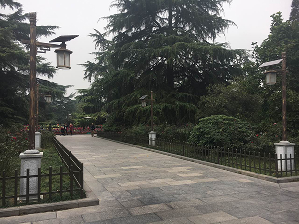 源碼太陽能路燈，太陽能路燈廠家，太陽能路燈價格