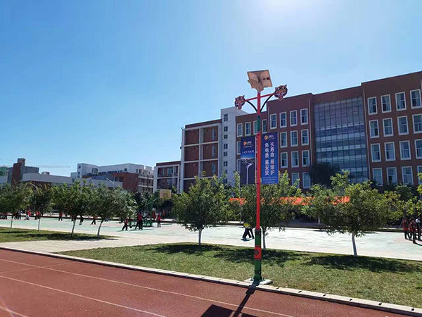 太陽能路燈，太陽能路燈廠家，太陽能路燈價(jià)格
