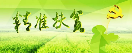 源碼助力來(lái)賓精準(zhǔn)扶貧，點(diǎn)亮新寨村幸福之路