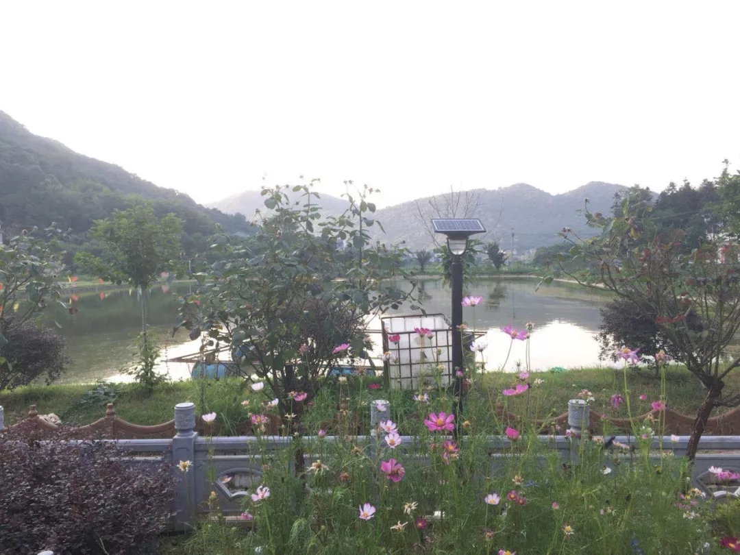 源碼，你所不知道的另一面