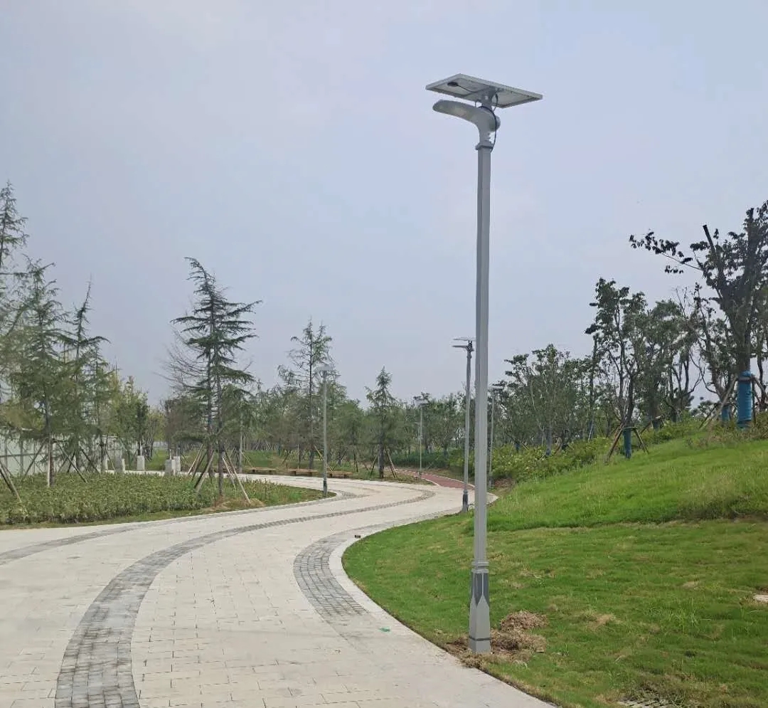 晴空排云雁高飛，源碼項目掀熱潮