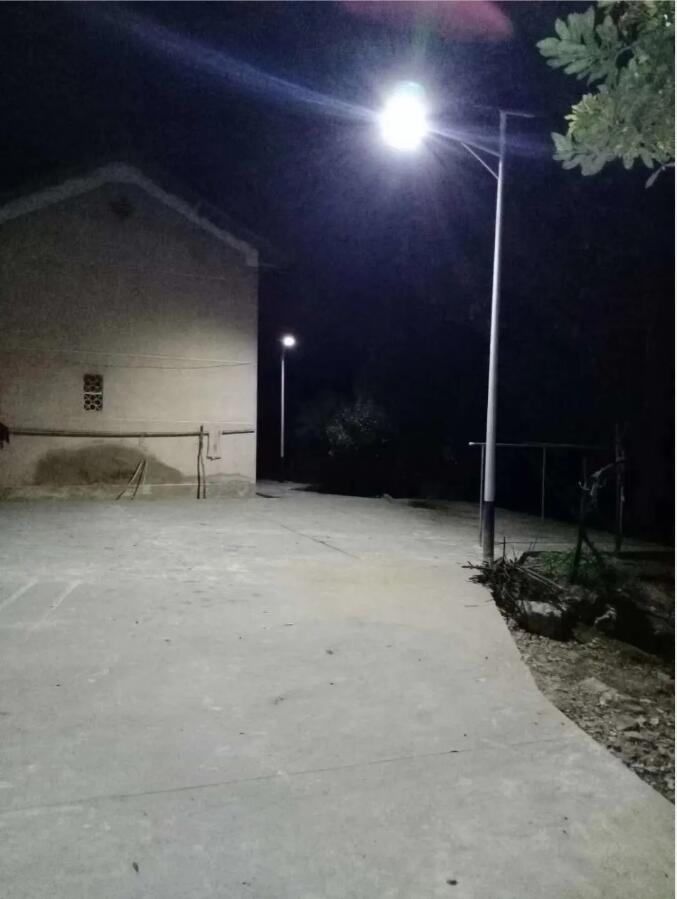 晴空排云雁高飛，源碼項目掀熱潮