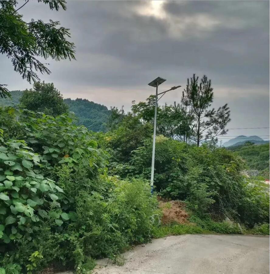 晴空排云雁高飛，源碼項目掀熱潮