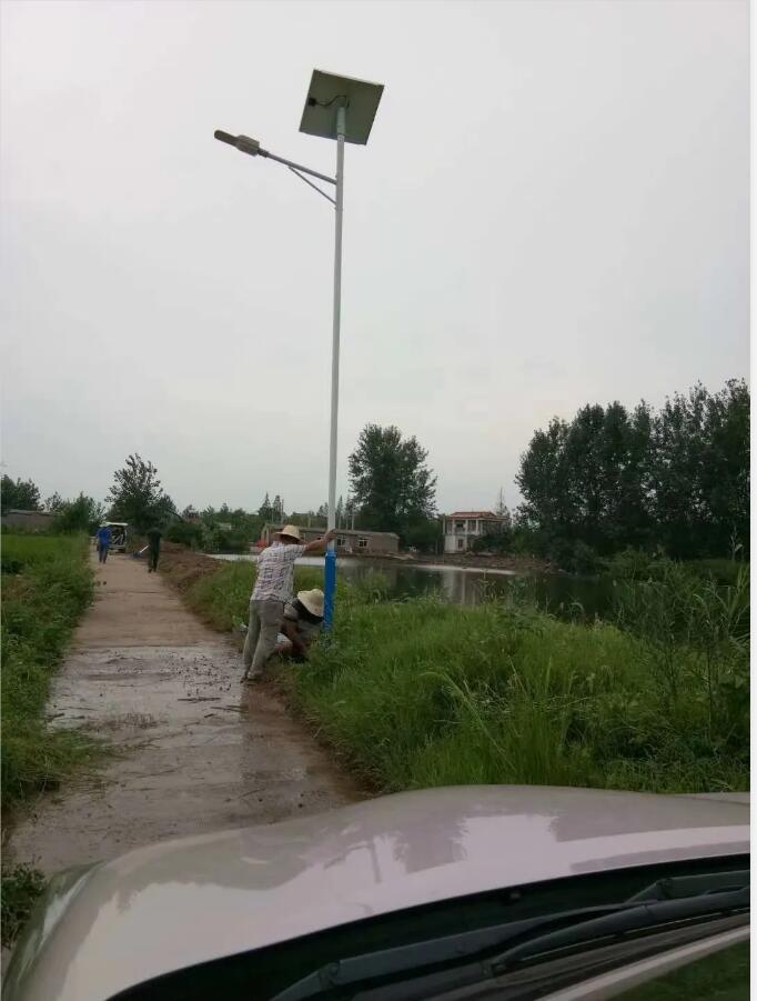 晴空排云雁高飛，源碼項目掀熱潮