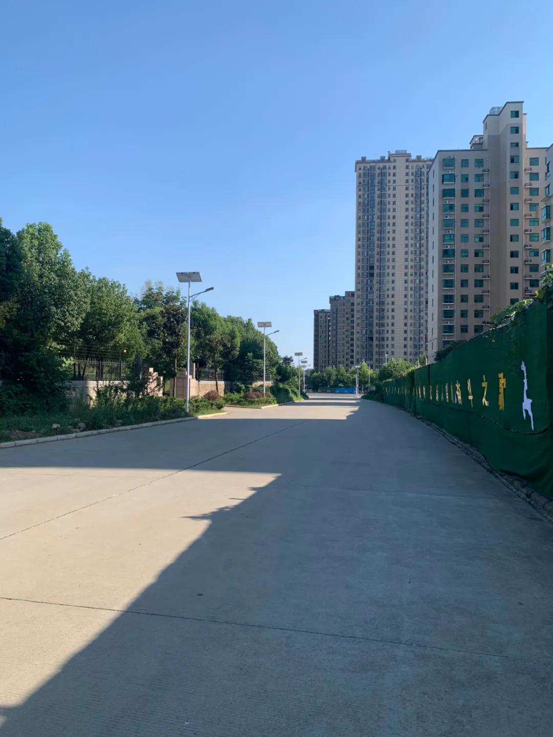 云鵬燈〡九萬里風(fēng)安稅駕，云鵬今悔不卑飛