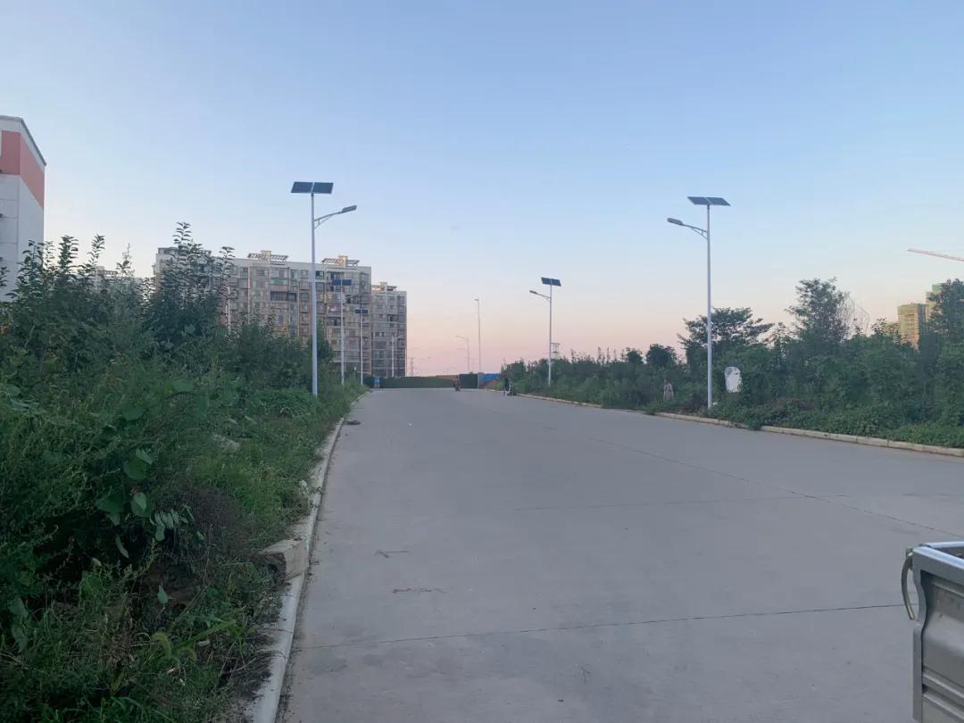 云鵬燈〡九萬里風(fēng)安稅駕，云鵬今悔不卑飛