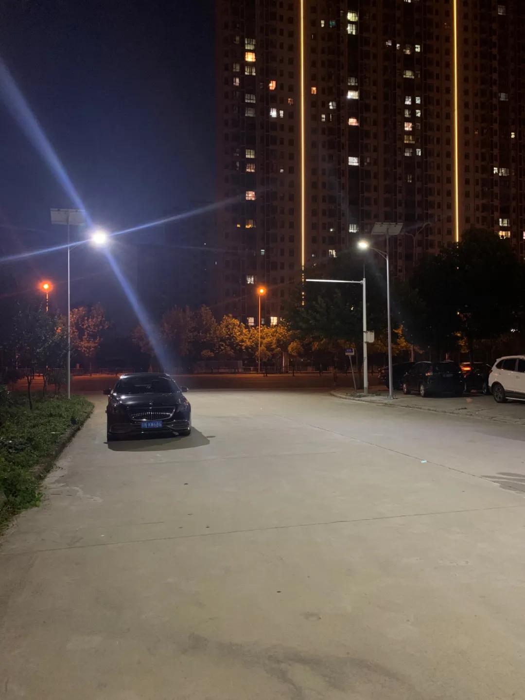 云鵬燈〡九萬里風(fēng)安稅駕，云鵬今悔不卑飛
