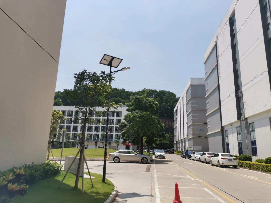 案例賞析〡云雁高飛，助力鄉(xiāng)村振興