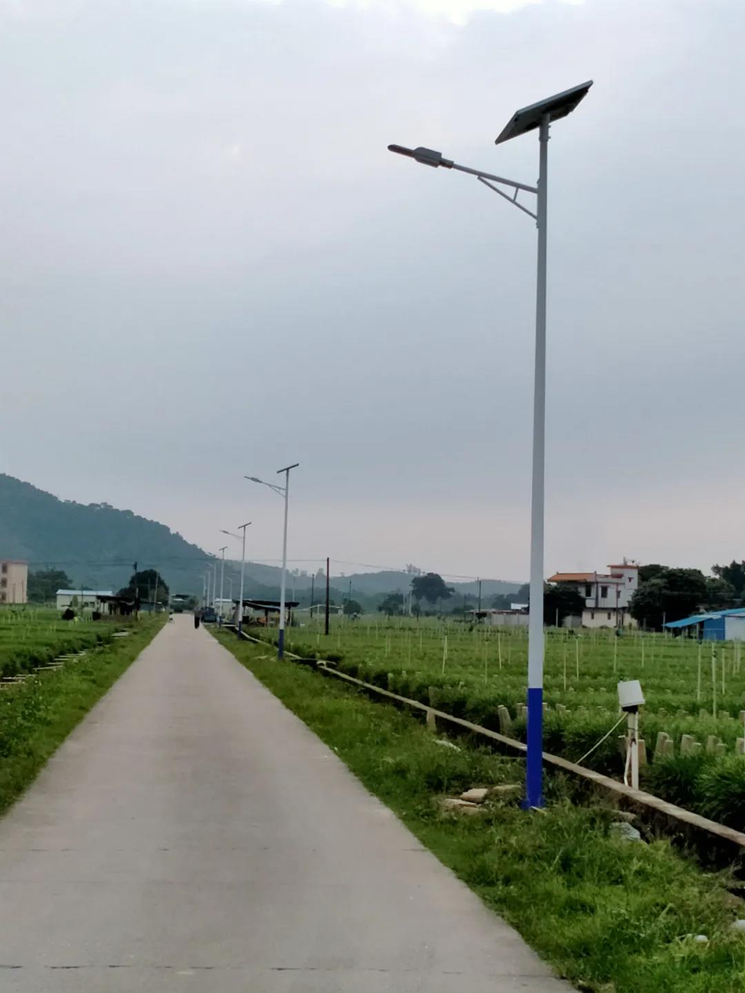 案例賞析〡云雁高飛，助力鄉(xiāng)村振興
